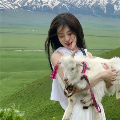 东方神骏