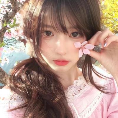 极主夫道 电影版